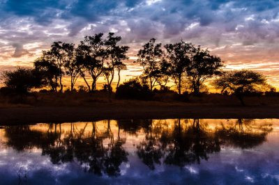 Botswana safari sunset Okavango delta