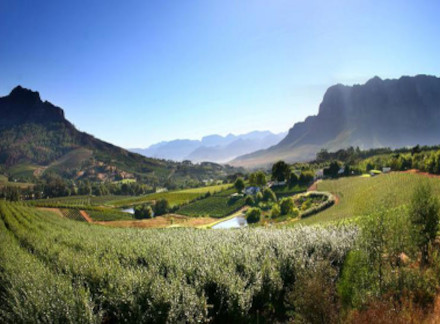 Cape winelands Cape Town