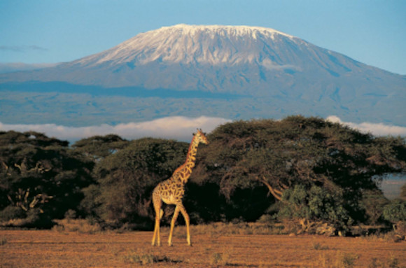 Climb-Mount-Kilimanjaro-Tanzania -Safari