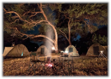 Vegan Safari tents evening time