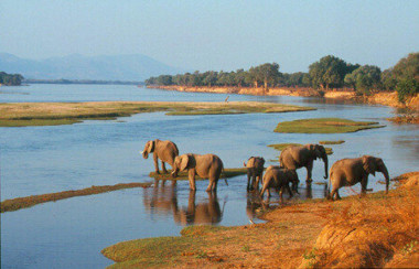 Lower Zambezi national Park