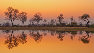 Moremi landscape Okavango delta Botswana Safari