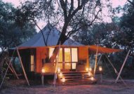 Ngala Tented Camp Safari