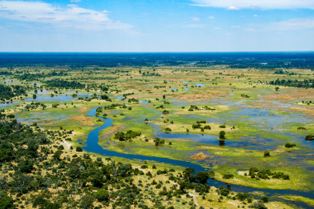 This image of Okavango Delta Botswana Safari.