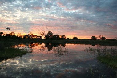 Okavango delta Botswana Safari