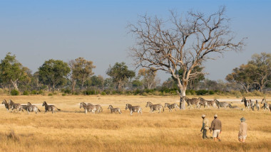 Okavango delta walking safari Botswana 