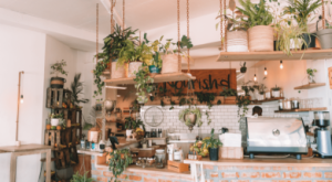 Plant based smoothie eatery cape town