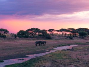 Ruaha sunset Tanzania safari
