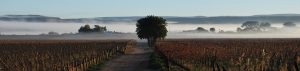 Upington,wineries, green belt