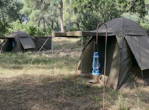 Northern Kruger National Park walking safari tents
