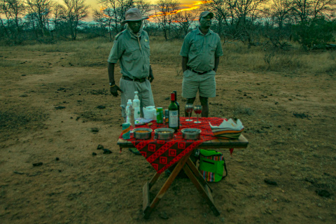 evening-night-game-drive-south-africa-safari