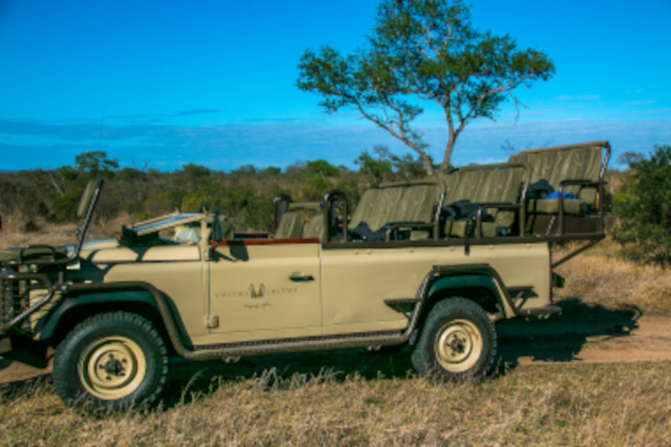 game-drive-vehicle -south-africa-safari