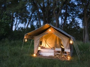 Chobe safari walk in tented camp with private ablutions