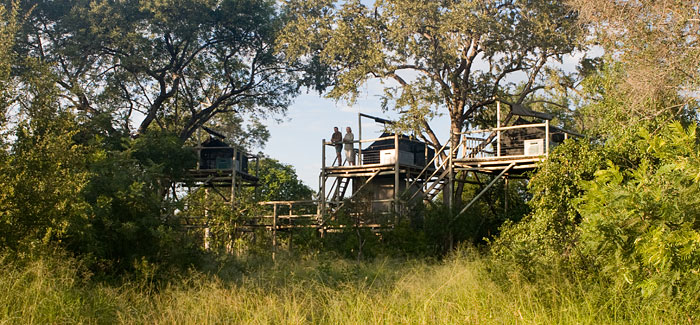 Rhino Post Kruger National Park