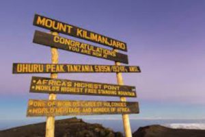 summit mount kilimanjaro Tanzania safari